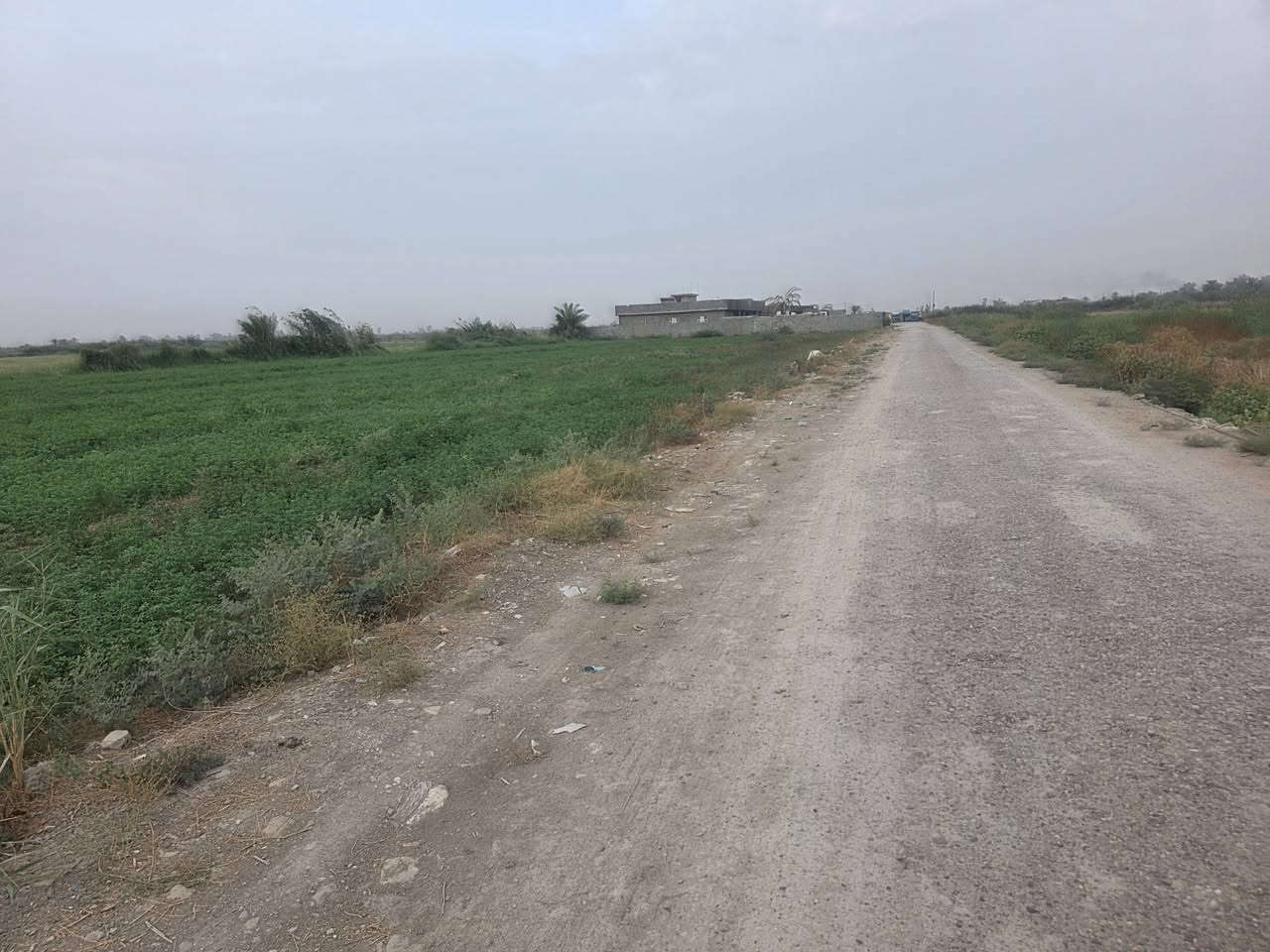 ابو غريب عكركوف • ٥دوانم • طابو زراعي
