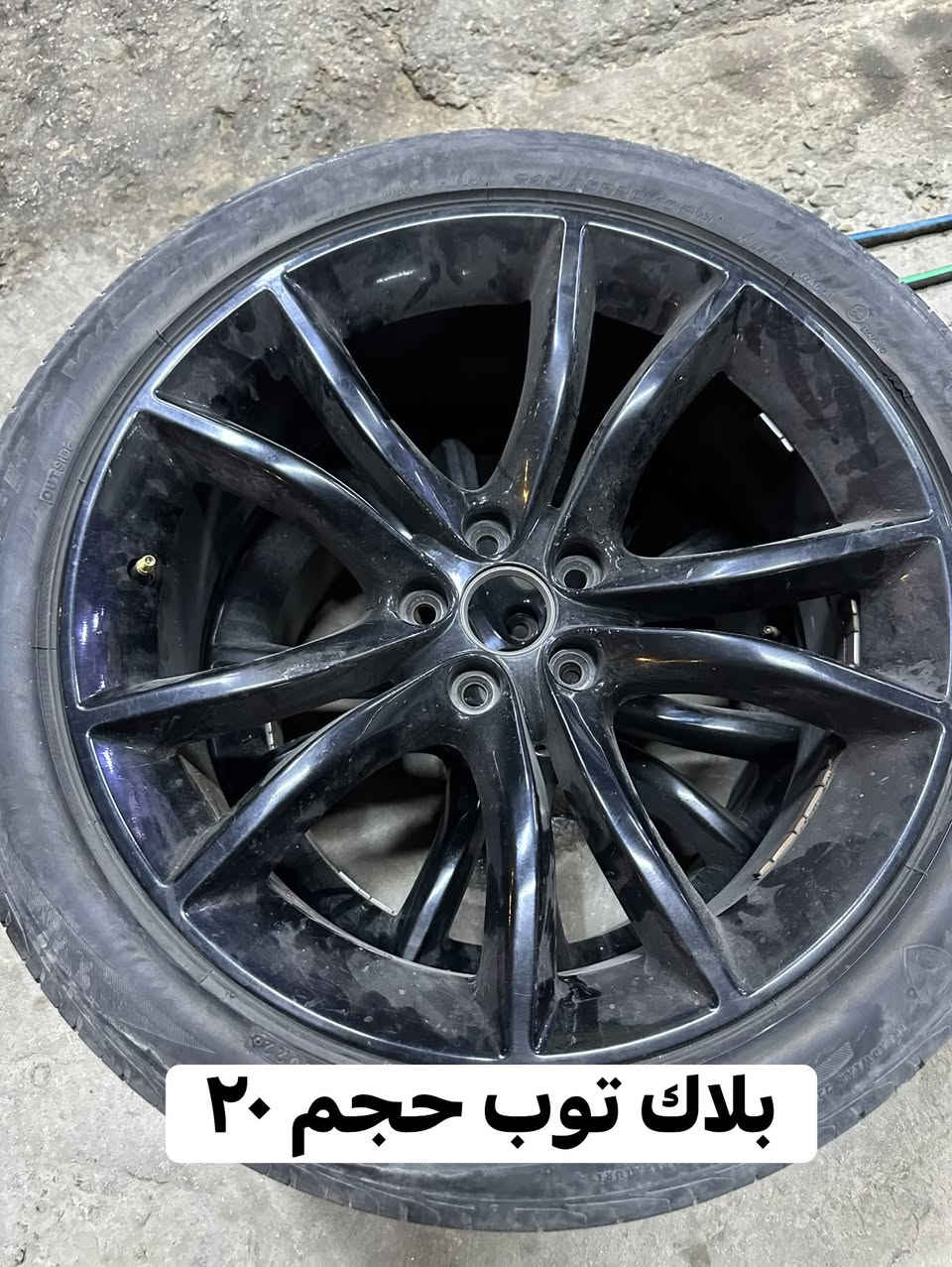 أي ويل بالصوره ينباع تك وزوج وتخم عنوان طويريج الحولي ***********
