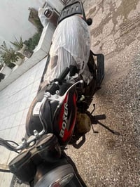 بوكسر • ضايع اوراق • اربعه كير