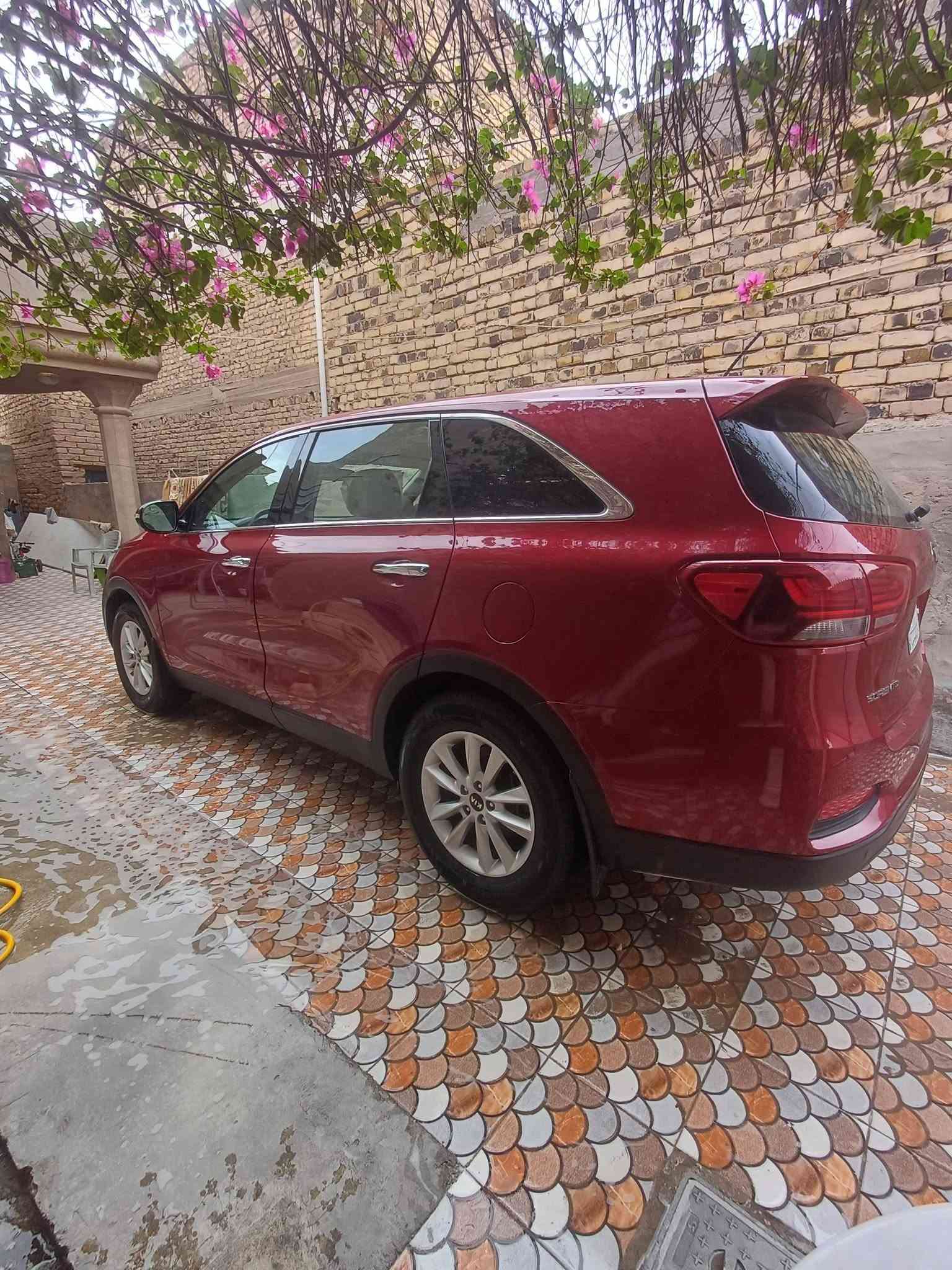 ٧ راكب • موديل ٢٠٢٠ • ماشي ٤٥٠٠٠