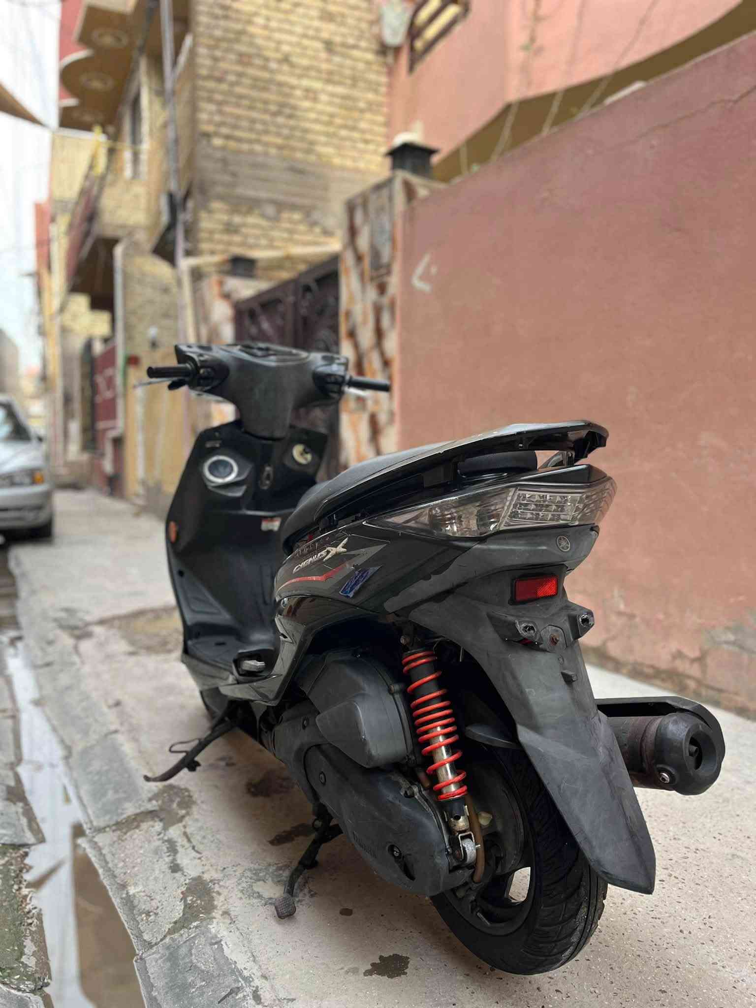 سكنس • كوري • كفاله