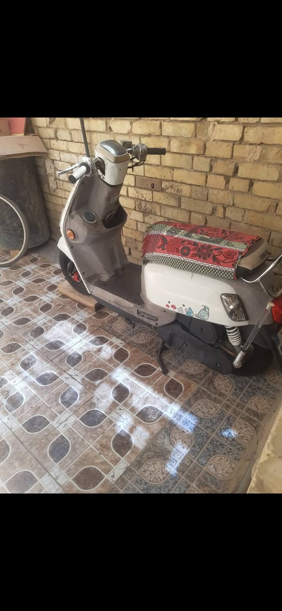 السلام عليكم بوليس للبيع الدراجه جاهزة مال رمبه ما صار هواي من طلعتها السعر ١١٥٠ وبيهامجال وهذا رقم***********

