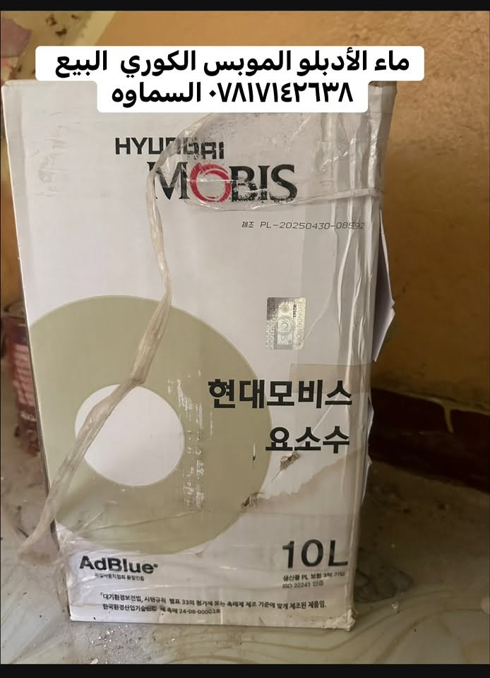 رميثه • كوري • عدد ٦