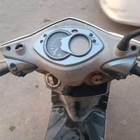 سكنس فحل • ياباني • دبلات رياضي