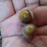 سلماني • قديمة