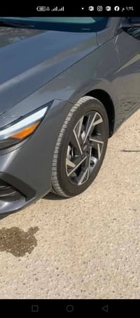حجم ١٧ • ويل • بغداد الثعالبه