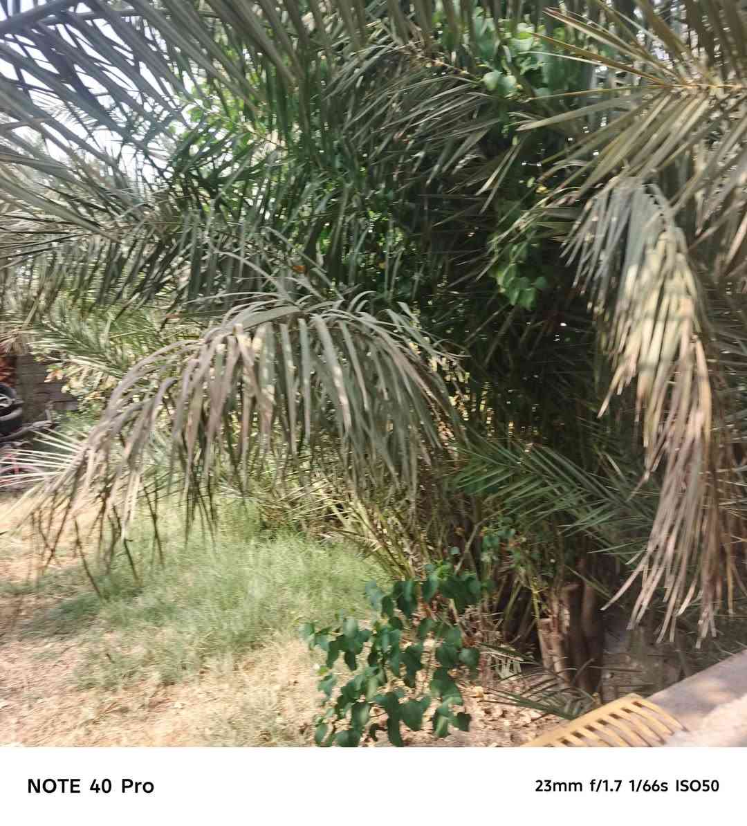 ٦ بيوت • أرض ومعاهن • قرب المطار