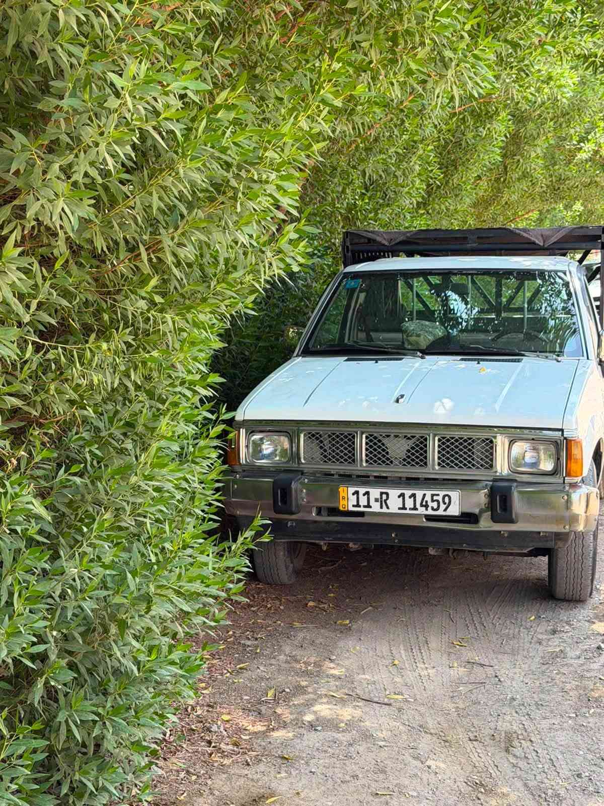 بلاديه • ١٩٩١ • عميه