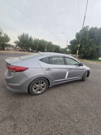 النترا • ٢٠١٧ • كربلاء