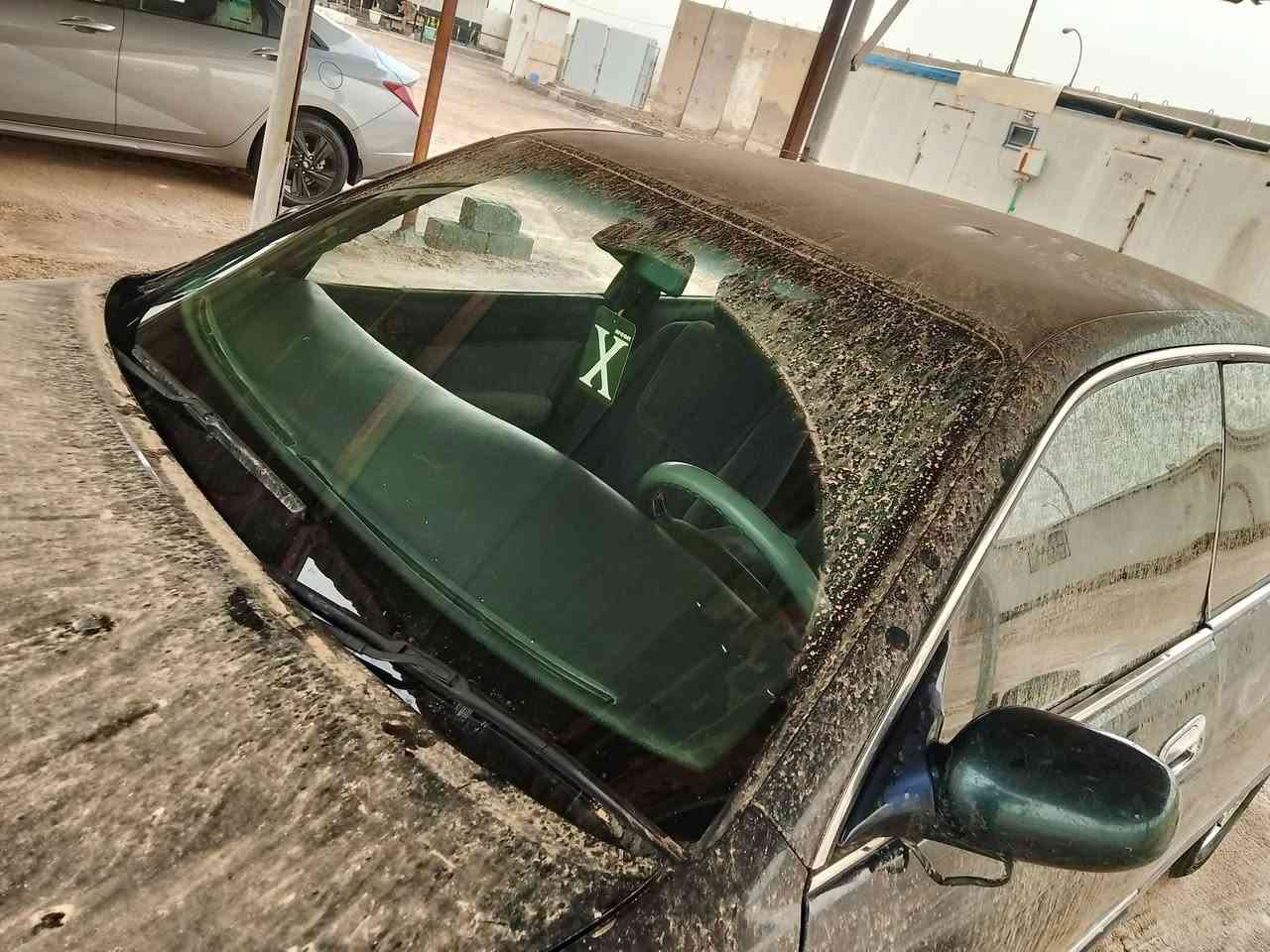 مشروع وطني شرط التحويل سنويه ضايعه وبيهه كتاب ... مكفوله ... و بدون صبغ كير محرك حداده كهربائيات كامله دشبول جديد ابطاين جدد .  سياره جاهزه(السعر ٢٨) وبيهه مجال قليل ... مكان بصره الزبير 
***********
