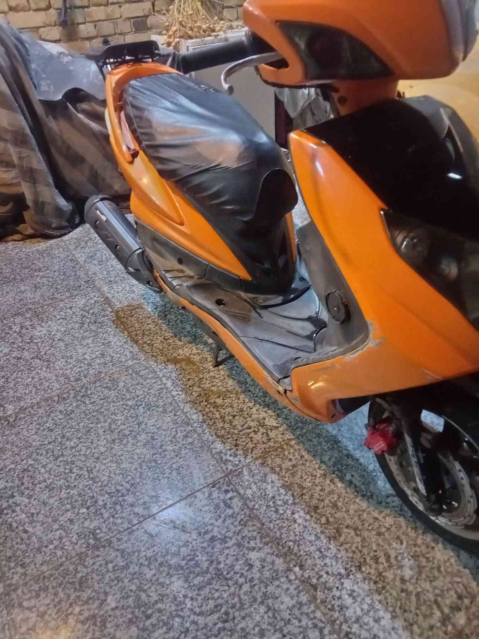 سكنس فحل • نوزل • خيط تبخير
