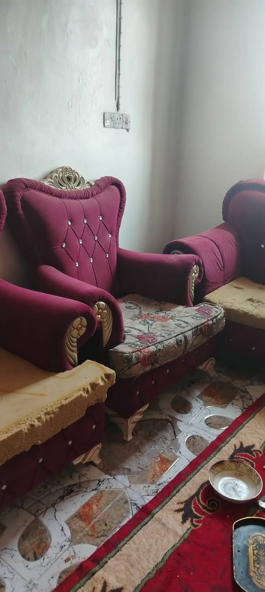 سلام عليكم تخم قنفات البيع 300وبيهن مجال ***********
