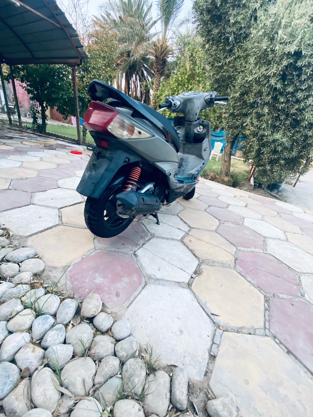 سكنس فحل مال رنبه كابريتر ***********