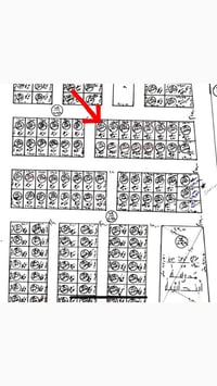 الشهداء السياسين • ٢٥٠م • طابو ملك صرف