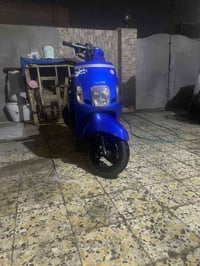 بوليس • مسطره • كفاله عامه