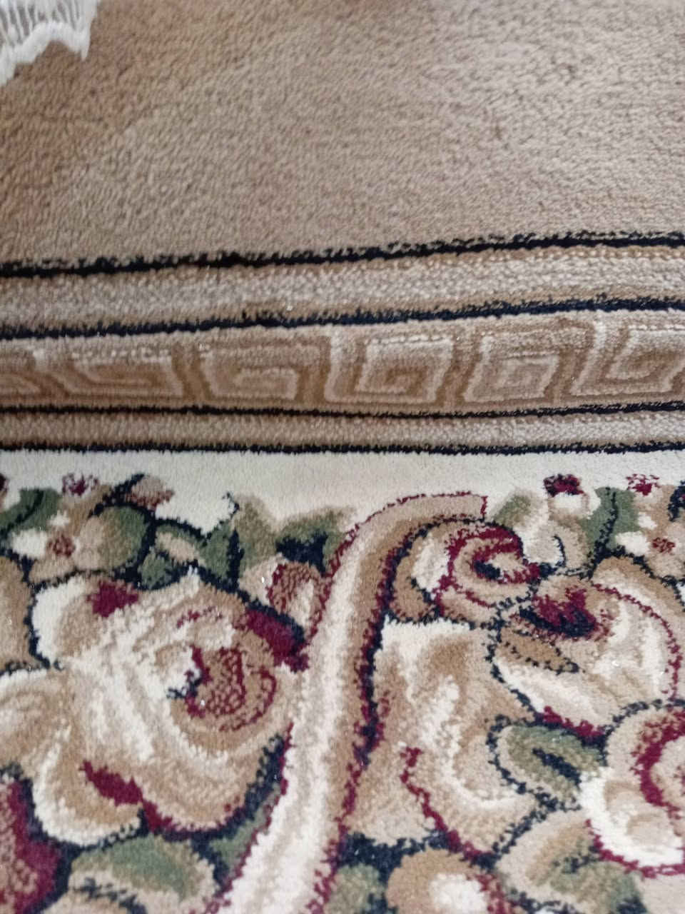 زان • ٣في٦ • الزيتوني