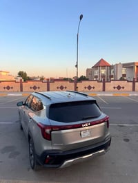 سلتوز ٢٠٢٤ • وارد كندي • بنيد مبدل
