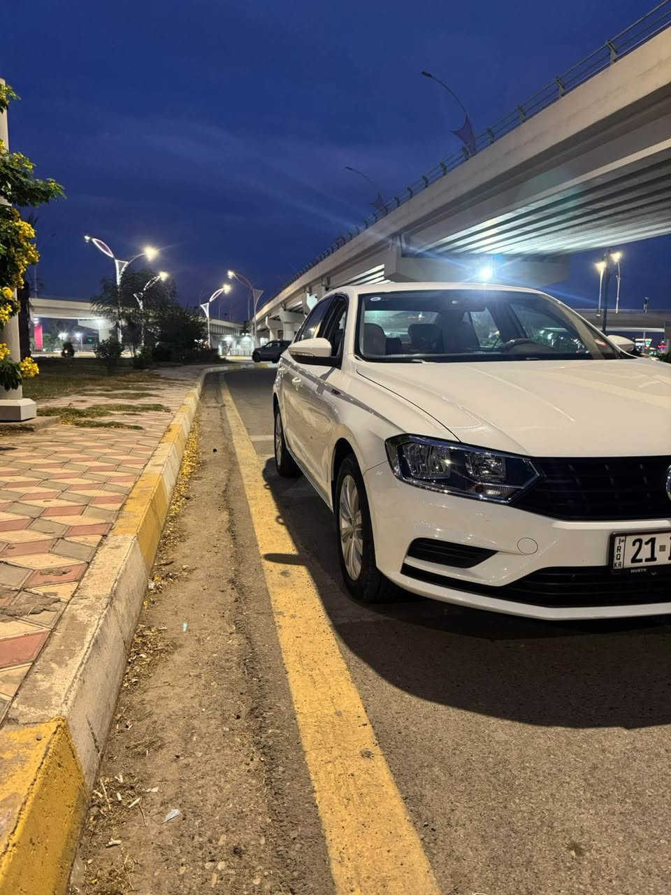 بورا • ٢٠٢٢ • بدون صبغ