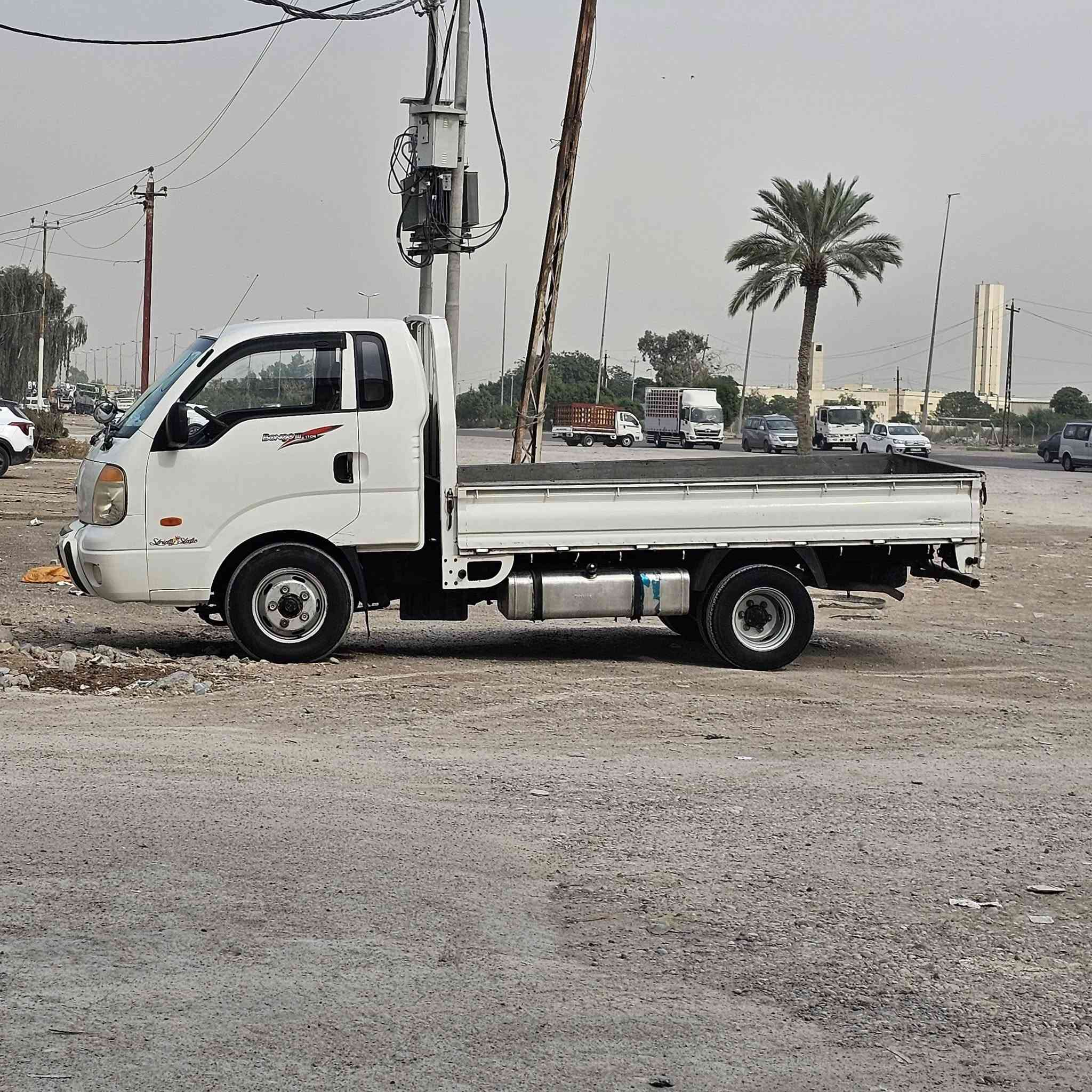 بغداد • فحل • صبغ