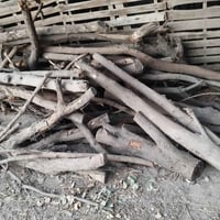 حطب • حمل • فلوجة الازركيه
