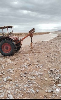 برينه • حفر أشجار • حفر أعمدة كهرباء