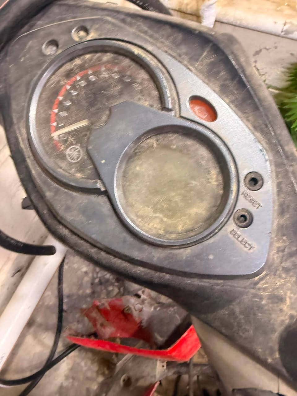 سكنس فحل للبيع سعر ١٥٠  دراجة عفتها طافيه بانزين اكفلك مكينه 
مكاني حي جهاد رقم ***********

