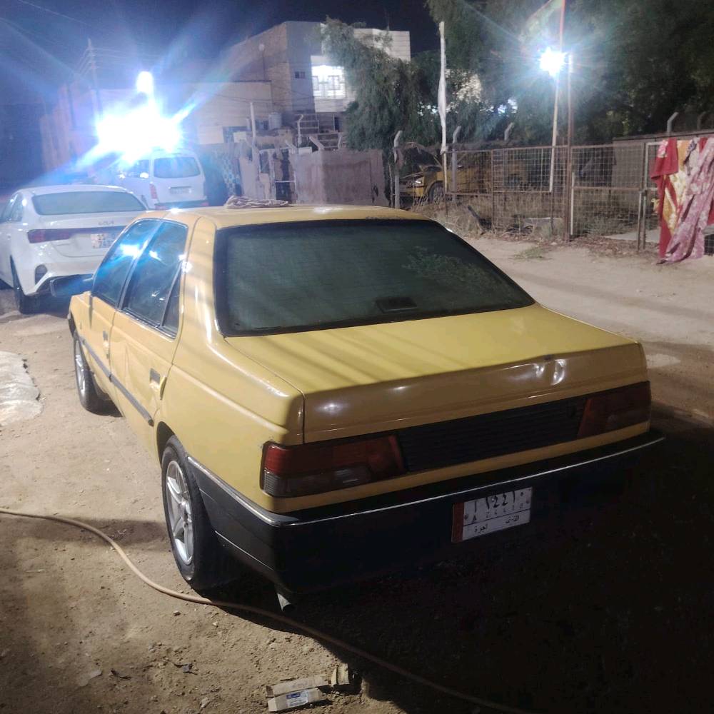 بيجو روا • ٢٠٠٩ • نظيفة
