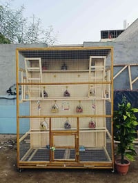 قفص طيور • طيور حب • طيور زينة