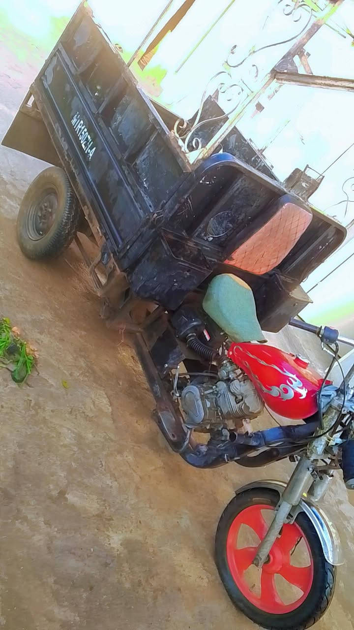 ستوته • شغالة • بودي نظيف