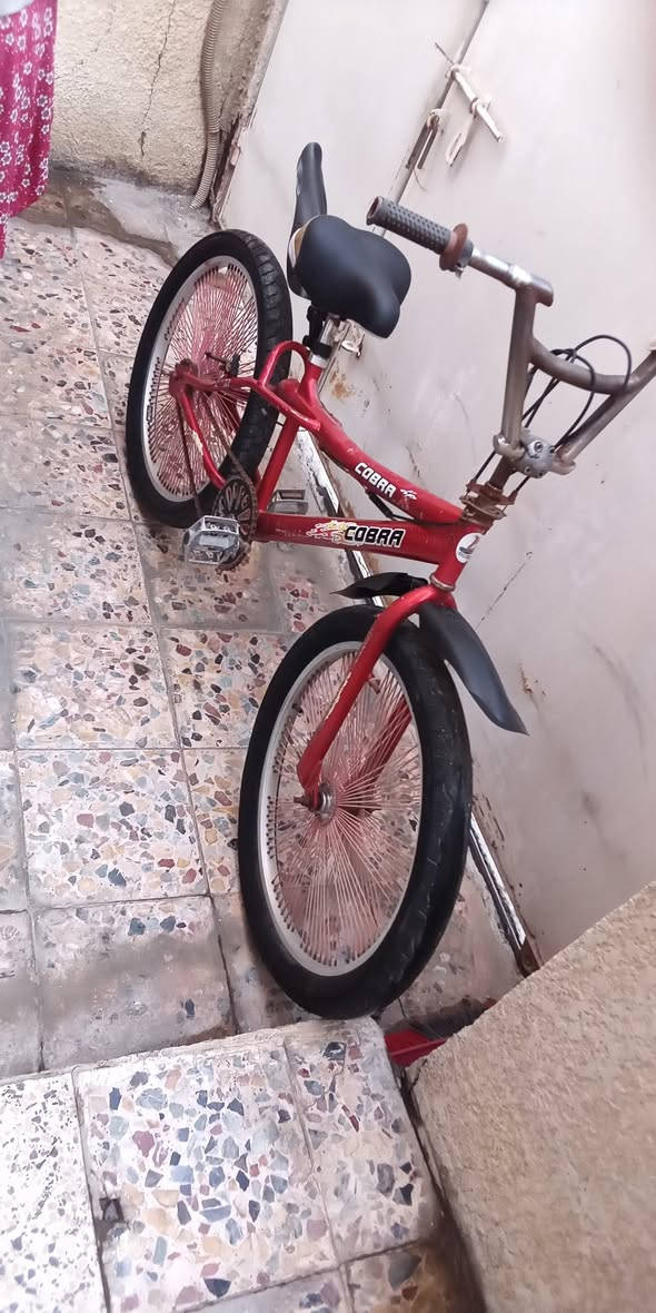 سلام عليكم عندي باسكل BMX للبيع كامل المواصفات مابي عطلات كله جاهز الابريك مالته بايدر جاملغ جدد كله كامل تايراته حجم 20 السعر80 وبي مجال حك الجيه العنوان بغداد الري الرقم ***********
