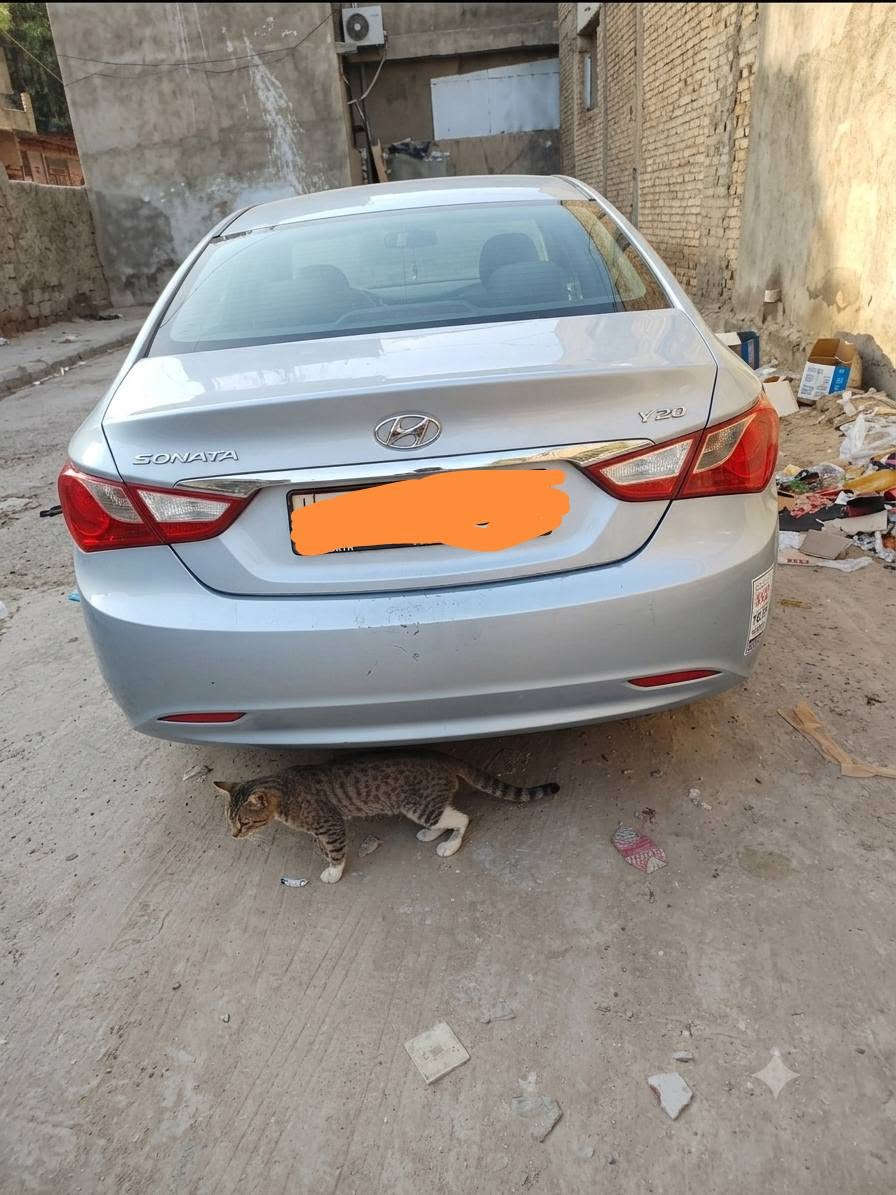 43
سوناتا 14 سياره كير محرك تبريد متوم نكليزي شمالي حفر كشنات جلد مري شفط اشاير بالمري تبريد قطعتين ثلاجه ماراوسس حسب القناعه او بيع مكان كربلا *********** بي واتساب
