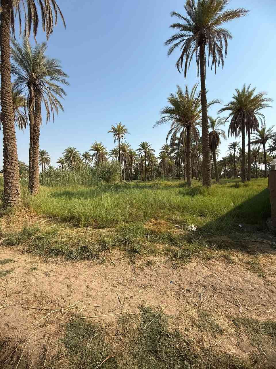 قطعه ارض للبيع العنوان كربلاء طويريج خلف البانزين خانه مال ابو جوعانه سند ٢٥  المساحه ١٣٤٠متر (واجهيه٢٠م*نزال٦٧م) للأستفسار الاتصال على الرقم التالي *********** رجاً الموشراي لايتعبني
