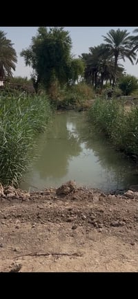 قرب سيطرة الج • ٥ دونم • طابو زراعي