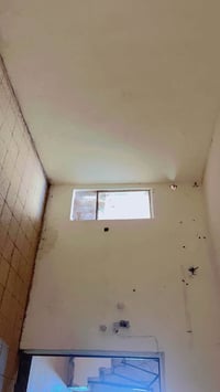 بلجربوعيه الاولى • ١٠٠م • طابو