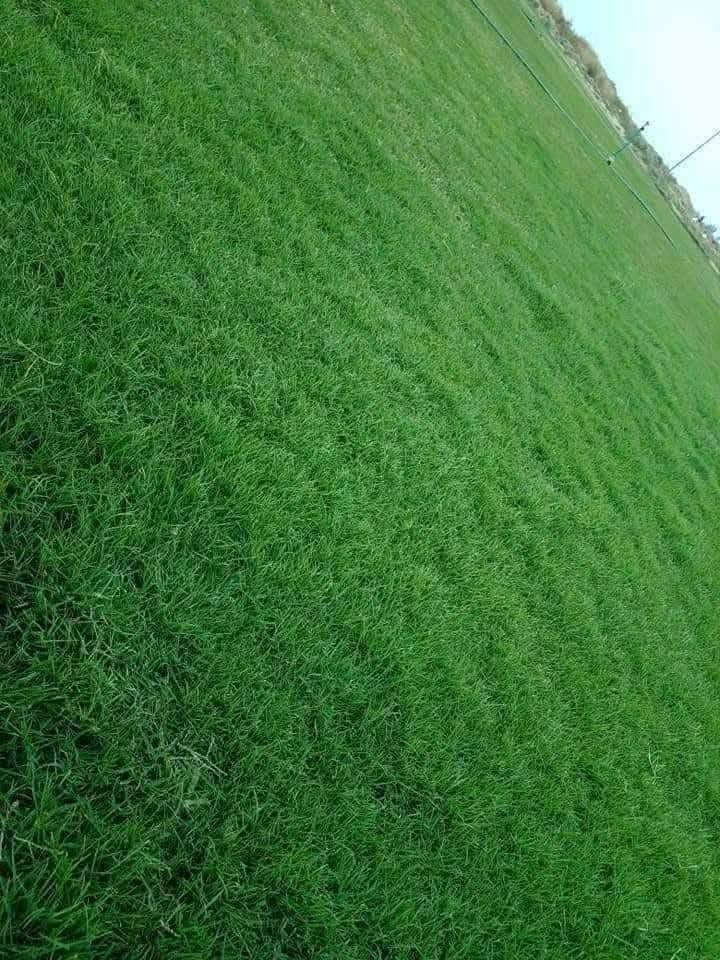 مرحبآ بكم في مجموعه مزارع ديالى لثيل الهندي الطبيعي 🌿🌱
 نقدم لكم افضل انوع الثيل الطبيعي عالي الجوده يتحمل كافه الظروف البيئية.🌦️🌞
دائم الخضرة🌿🌳 وباسعار تنافسيه وعروض مميزة ☘️❤️
#مستعدون لتجهيز وفرش الحدائق🏡 ودوائر الدولة🏡والمنازل🏡🏡
و تجهيز الملاعب🏟️ والمنتزهات بانسب الاسعار مع #ضمان الجودة العالية في العمل👷👷

مع خدمة التوصيل خلال24ساعه🚛🚛
 
 التواصل مع الصفحة عن طريق ارسال رسالة  او الاتصال

***********اتصال
***********واتساب #بغداد #بصرة #عمارة #ناصرية #سماوة #نجف #ديالى #ديوانية #بابل #كركوك #صلاح الدين #موصل #سليمانية #اربيل #دهوك #الانبار
