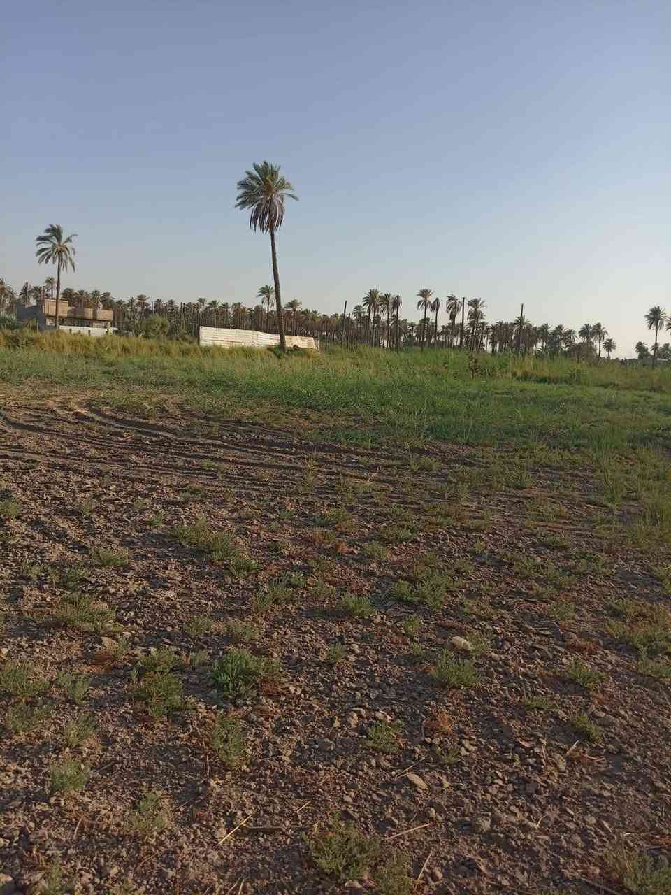 🌿 دونم زراعي للبيع  🌿

فرصة مميزة لامتلاك دونم زراعي بسند 25، مع تحويل رسمي مباشر باسم المشتري.

📍 الموقع:
طويريج – الرشيدة، قرب سيطرة 19 على طريق محمد العابد، ويبعد أقل من 300 متر عن الشارع المبلط.

✅ جميع الخدمات متوفرة.
✅ موقع مناسب للسكن أو الاستثمار.

📞 للتواصل:
اتصال أو واتساب: *********** كربلاء, العراق
