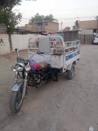 ستوته • صقر • اوراق كامله
