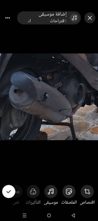 صالنصه بلاديه كاتم للبيع نضيفه السعر ٢٥وبيها مجال قليل الشراي يتصل وبي...