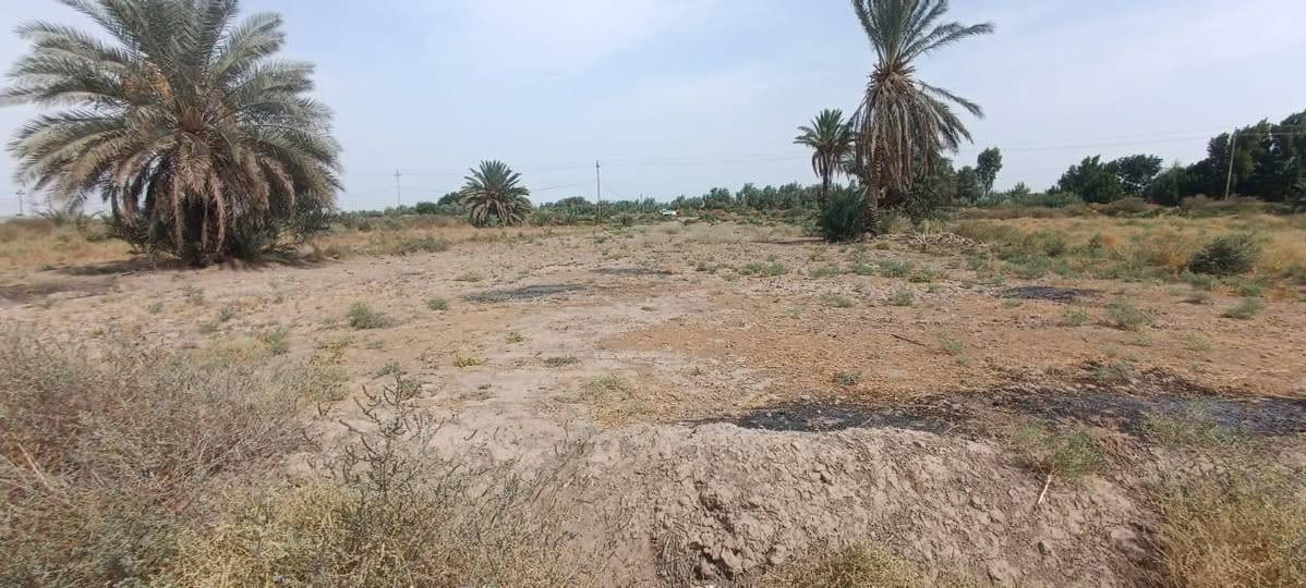 ال عواد الرعده • ١٦٠٠م • زراعيه