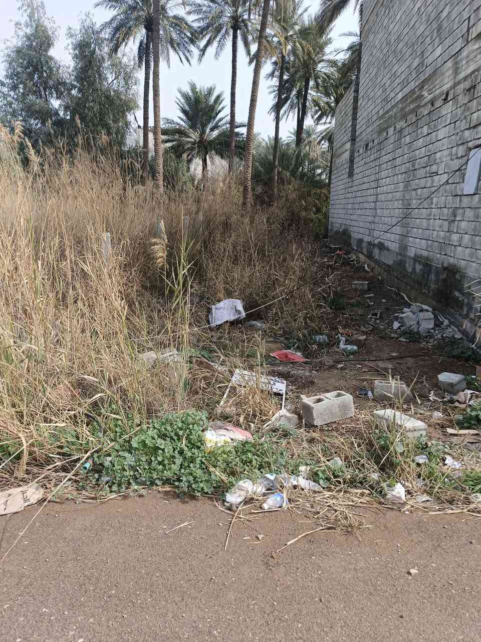 قطعة ارض سند 25 ١٠٠ مترمركز بعقوبه خلف دور القضاة مخدومه للبيع وبسعر مناسب الاتصال علـّۓ الرقم *********** بغداد, العراق
