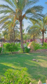 مزرعة عنب • المدائن • مناسب للعوائل