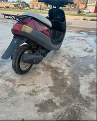 بطة • نضيفه • مكفوله