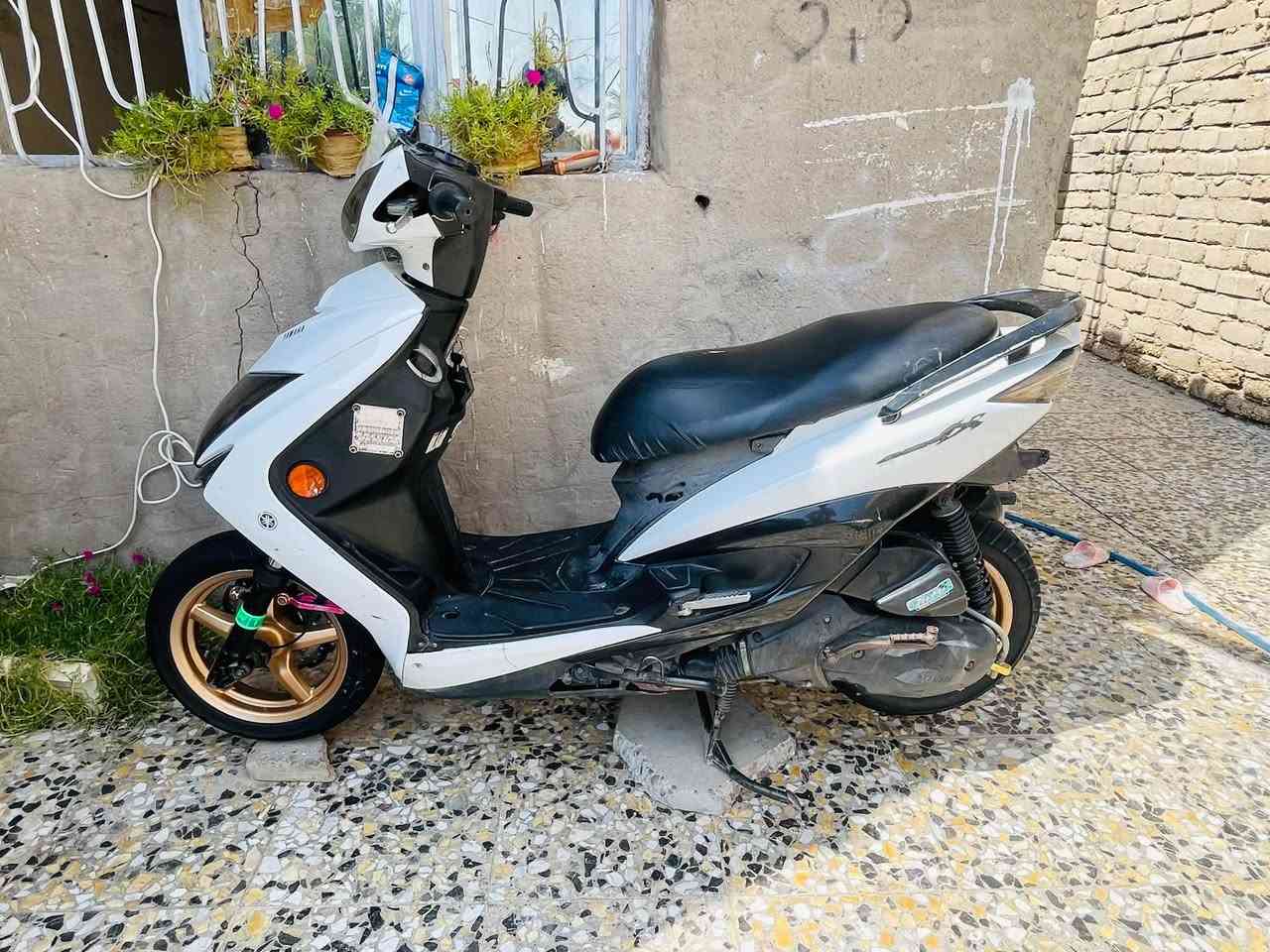 سكنس • ياباني • ٢٠١٨