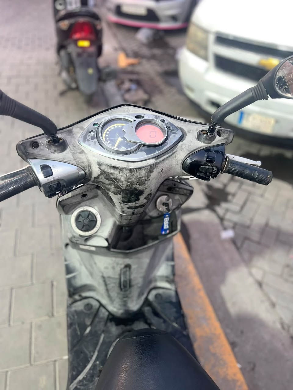 سكنس فحل • أوراق معرض • مكينه مامفتوحه