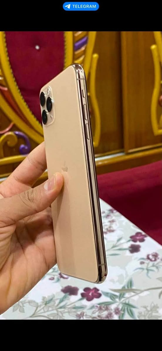 للبيع آيفون 11 برو ماكس ذاكرته 256 كيكه جهاز لوك شخط مابي كامراته فول فقط شاشه مبدل اصلي شرط فيس ايدي شغال شرط حاسبه بطاريه بلادي 73 شرط مايصرف شحن نموذج M أمريكي سعر 270 وبي مجال خاص او اتصل *********** مكاني كركوك

نص مكتوب في الصور:
- TELEGRAM
- TELEGRAM إيقاف الصور الحية