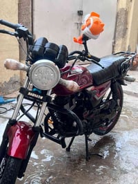 شاينك • ٢٠٢٦ • كفاله