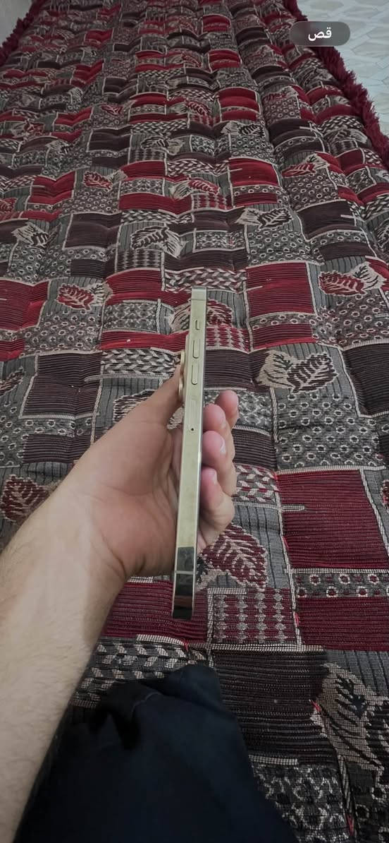السلام عليكم 13برو ماكس للبيع باتري85مامفتوح نضيف 
ذاكره 256/الرقم ***********

نص مكتوب في الصور:
- قص
