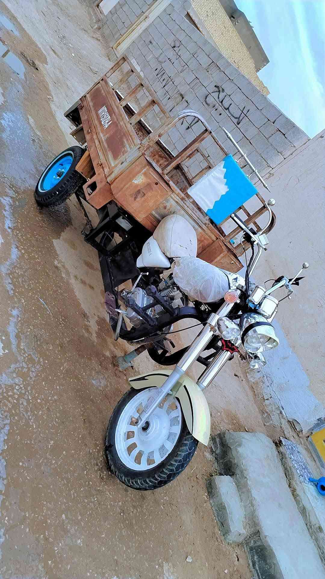 ستوته • موديل ١٢ • ألماني