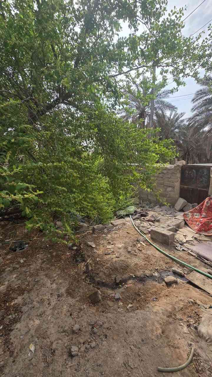 طابو صرف • ١٤٤م • واجهة ٩م