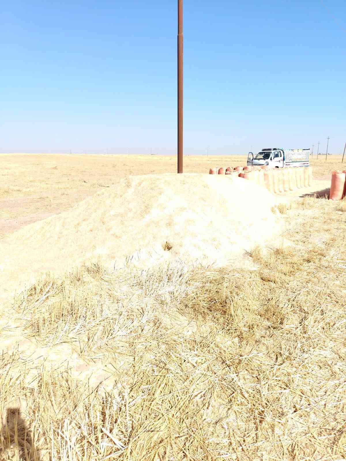 السلام عليكم يوجد تبن للبيع شلفان السعر ٣٠٠٠ الشليف واصل البيت ومال الحنطه مال السنه شرط نضيف القياس الشليف عرض ابو ٧٠ ارتفاع ١١٠ ويوجد خدمة توصيل والاستفسار *********** *********** /وملاحضه يوجد تبن عرباين دبل الكميه خير من الله /وشرط نضيف وناعم مال السنه
